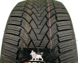 Автошина ARIVO WINMASTER PRO X ARW3 фото