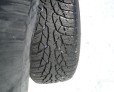 Автошина NOKIAN WR D4 фото